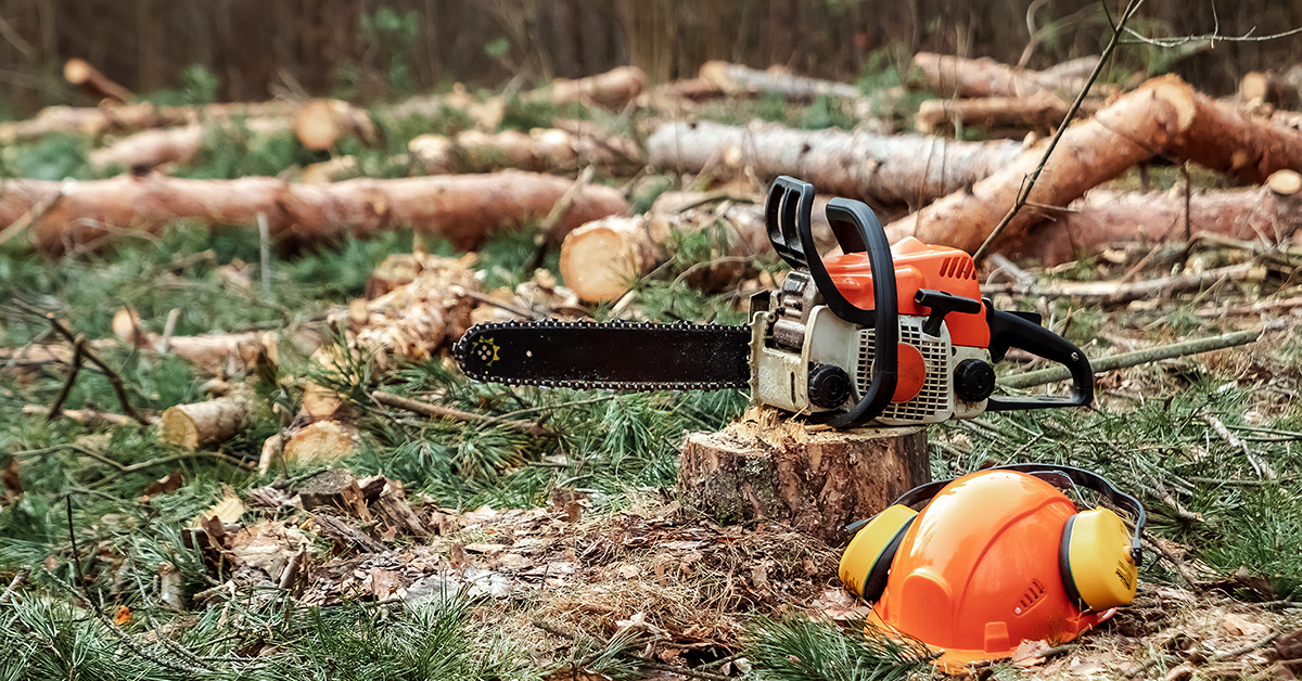 deforestation hurts biodiversity